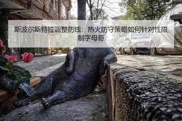 si-bo-er-si-te-la-tiao-zheng-fang-xian-re-huo-fang-shou-ce-lve-ru-he-zhen-dui-xing-xian-zhi-zi-mu-ge-2-395.jpg